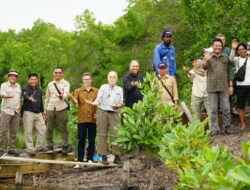 Tim GGGI dan GAC Kunjungi Wilayah Mangrove di Bulungan