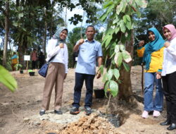 Pemkab Bulungan-BRIN Tanam 25 Jenis Buah Endemik di Kebun Raya Bundayati